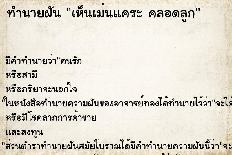 ทำนายฝัน เห็นเม่นแคระ คลอดลูก ทำนายฝัน เห็นเม่นแคระ คลอดลูก